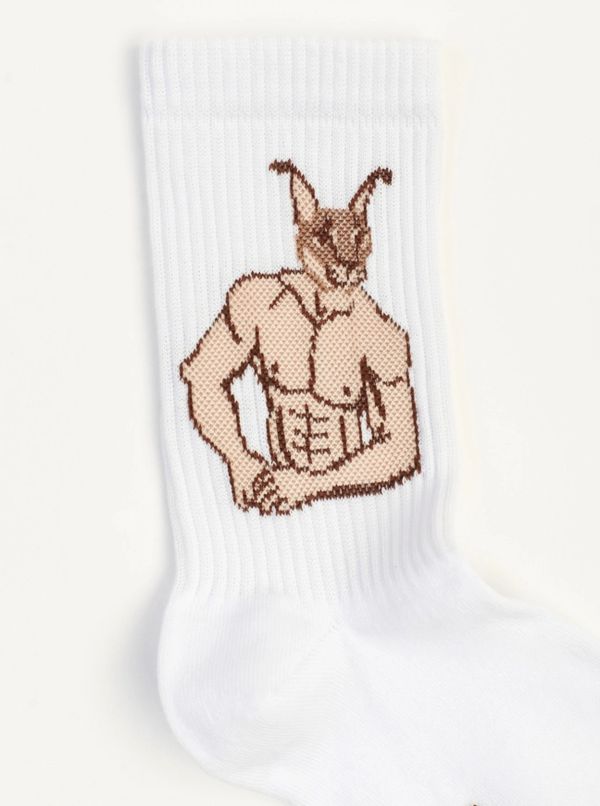 Носки SUPER SOCKS Супер Шлепа (размер 40-45)
