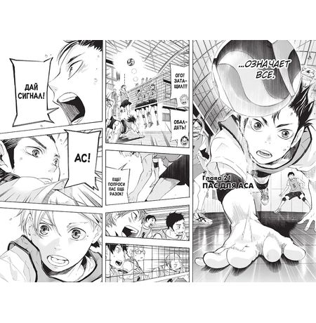 Волейбол! Том 2. Вперед, команда «Карасуно»! Соперники изображение 8