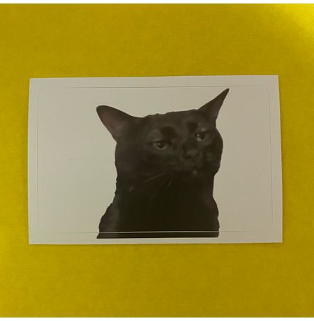 Наклейка на банковскую карту Невнимательный кот мем StickerStars