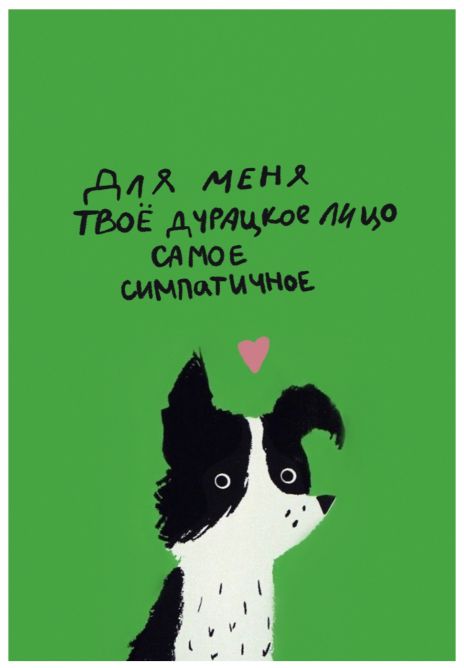 Открытка Пес - Твое дурацкое лицо