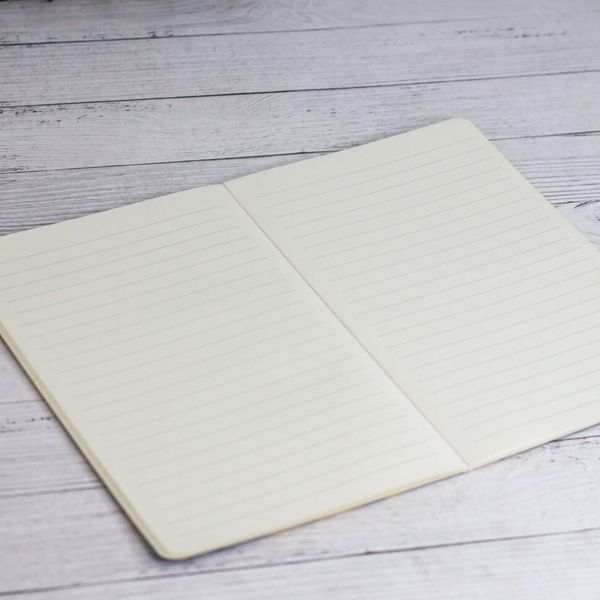 Тетрадь Инопланетяне изображение 2