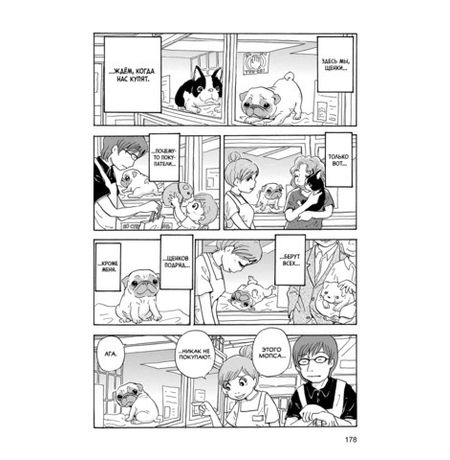 Пёс, смотрящий на звёзды изображение 2