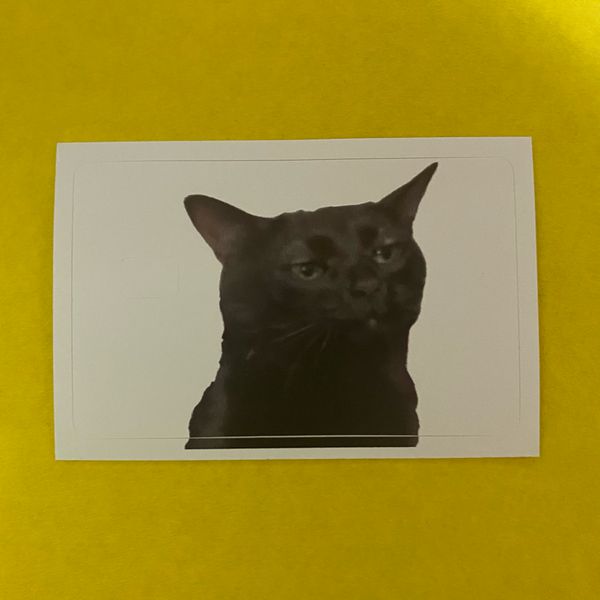Наклейка на банковскую карту Невнимательный кот мем StickerStars