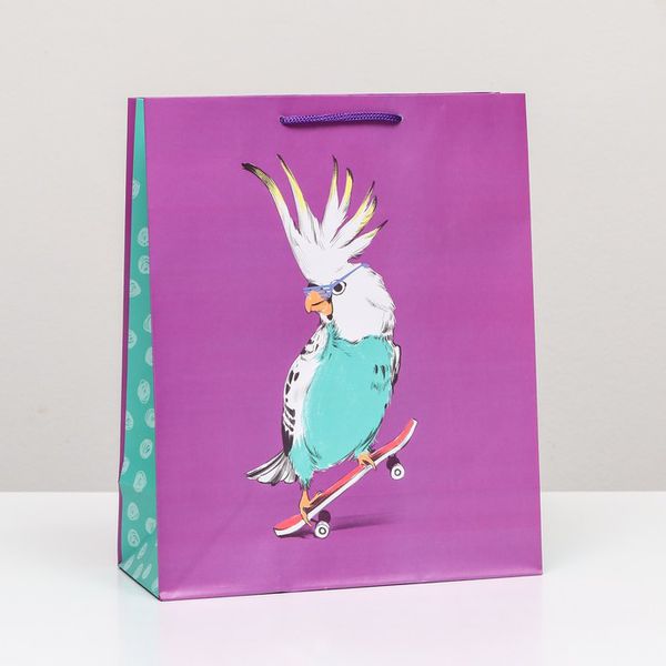 Пакет Попугай на скейте 26 х 32 х 12 см