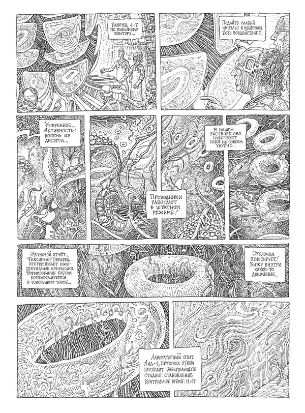 Заплаточники изображение 4