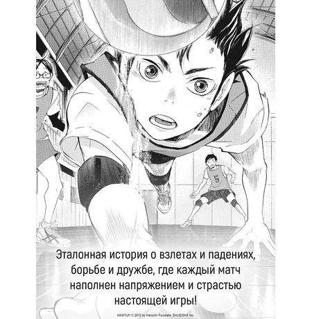 Волейбол! Том 2. Вперед, команда «Карасуно»! Соперники изображение 3