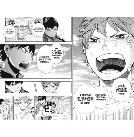 Волейбол! Том 1. Хината и Кагэяма. Вид с высоты изображение 10