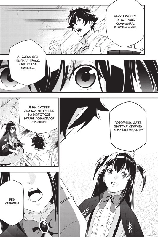 Восхождение Героя Щита. Том 17 изображение 4