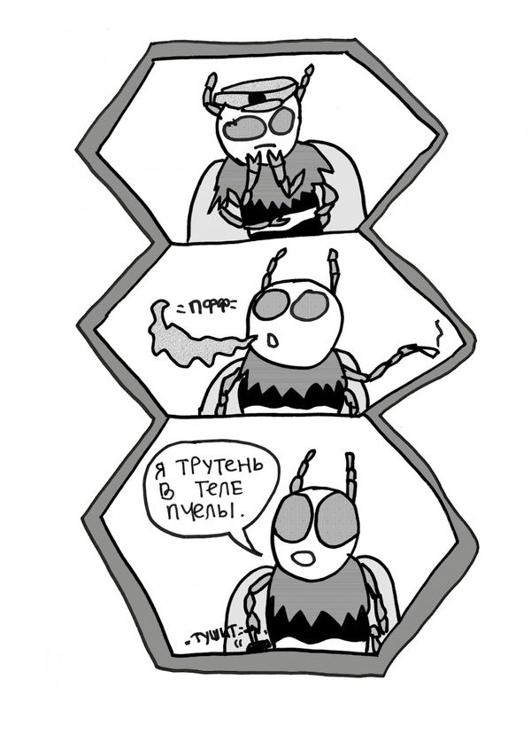 Соты изображение 2