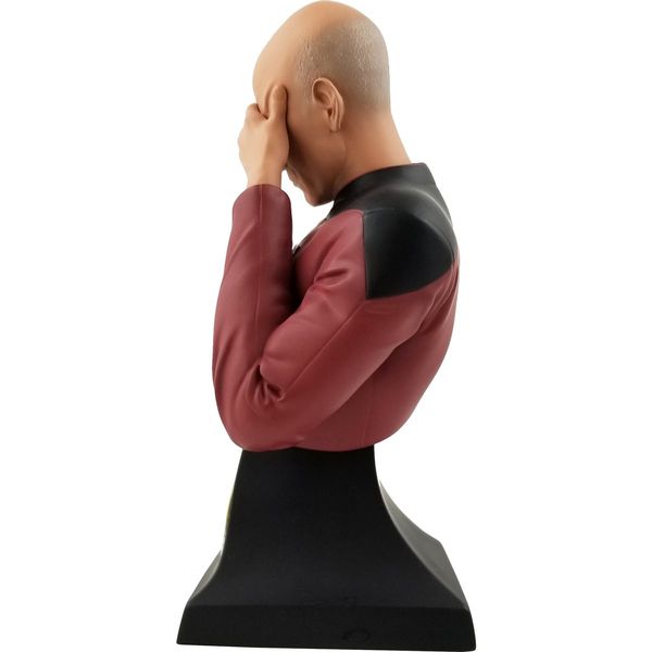 Фигурка Star Trek - Пикар Facepalm Эксклюзив (Star Trek - Picard Facepalm SDCC 2020) изображение 2