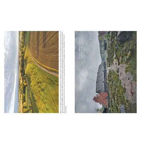 История викингов. Дети Ясеня и Вяза изображение 2