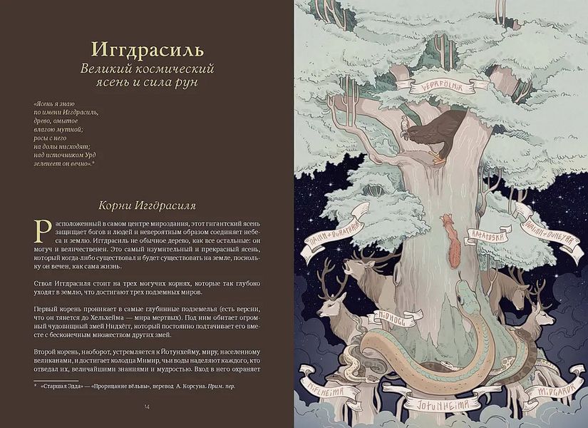 Волшебные и страшные мифы леса. От феникса до Иггдрасиля изображение 5