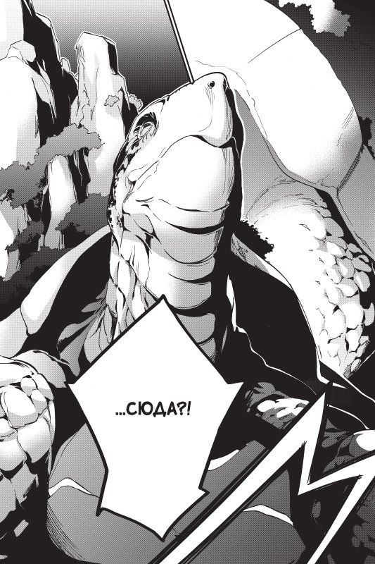 Восхождение Героя Щита. Том 13 изображение 2