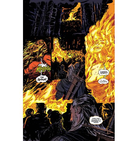 Witcher Witch's Lament #1A изображение 2