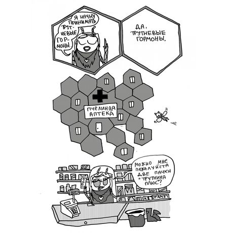 Соты изображение 4