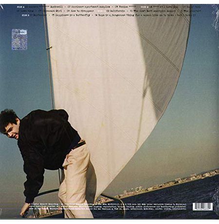 Виниловая пластинка