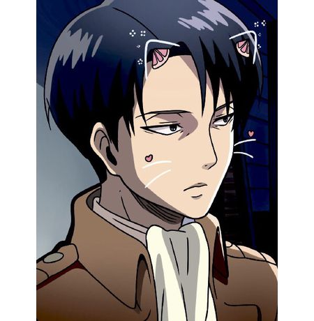 Открытка Атака на Титанов - Леви Кот (Attack on Titan) STICKERS.ONE