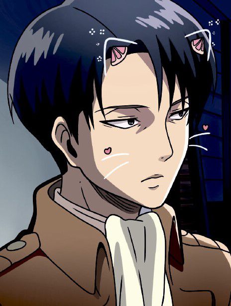 Открытка Атака на Титанов - Леви Кот (Attack on Titan) STICKERS.ONE
