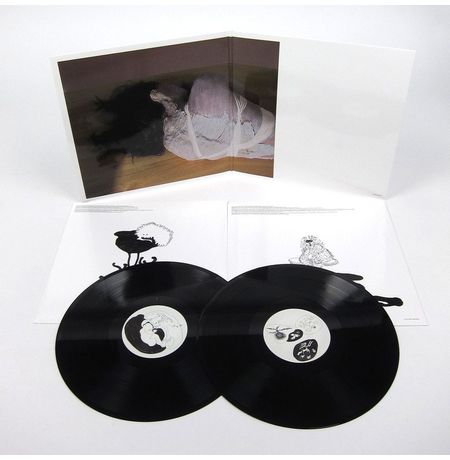 Виниловая пластинка Bjork - Greatest Hits изображение 2