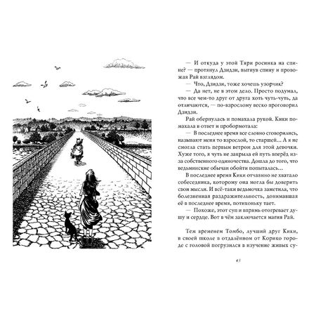 Ведьмина Служба Доставки. Книга 5 изображение 3