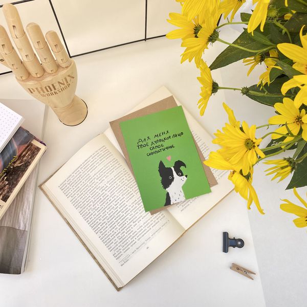 Открытка Пес - Твое дурацкое лицо изображение 4