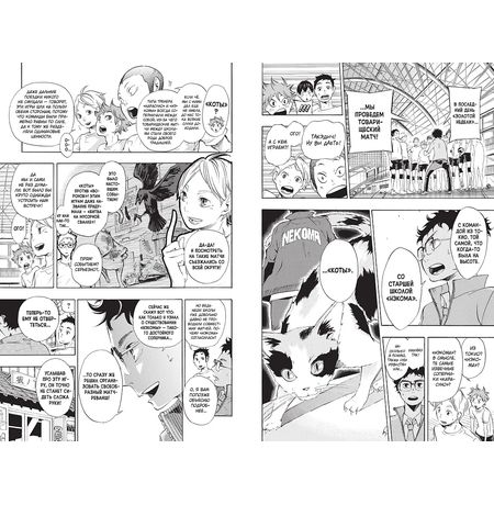 Волейбол! Том 2. Вперед, команда «Карасуно»! Соперники изображение 7