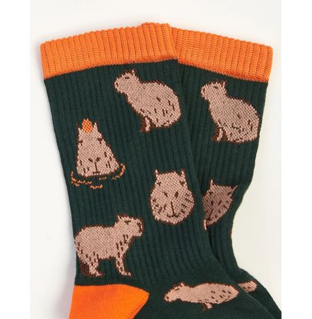 Носки SUPER SOCKS Капибара (размер 40-45) изображение 2