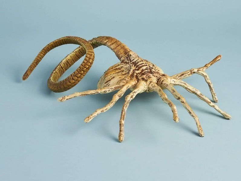 Чужой - Лицехват (Alien - Facehugger)