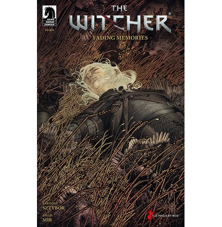 Witcher Fading Memories #2A by Evan Cagle