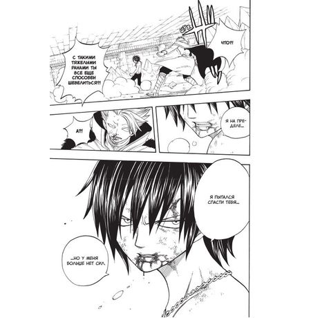 Хвост Феи. Том 6 изображение 2