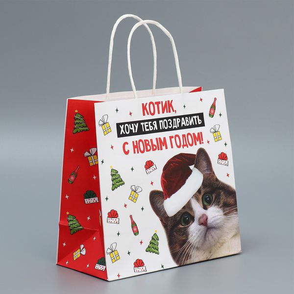 Пакет Котик поздравляет