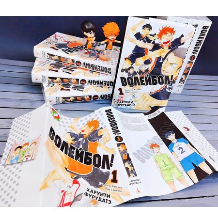Волейбол! Том 1. Хината и Кагэяма. Вид с высоты изображение 4