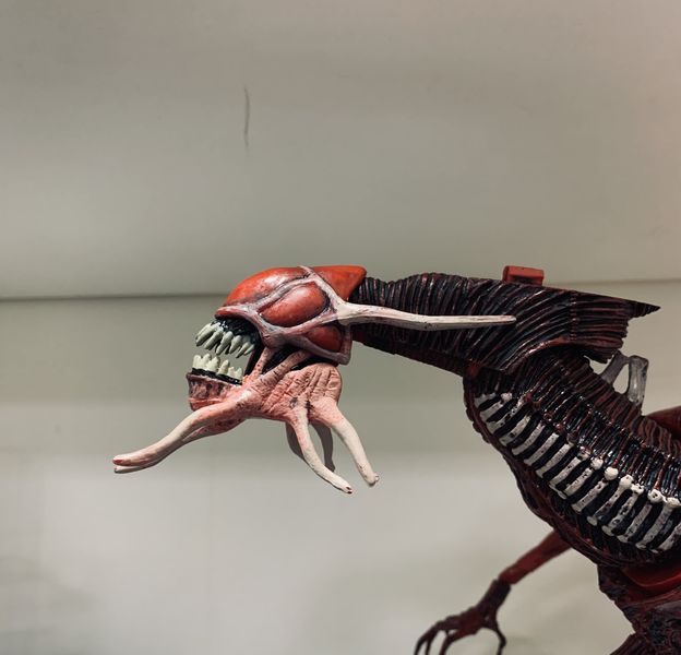 Фигурка Красная Королева Чужих (Alien Red Queen) УЦЕНКА изображение 2