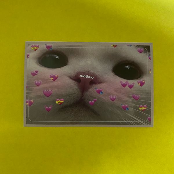 Наклейка на банковскую карту Котик с сердечками мем StickerStars