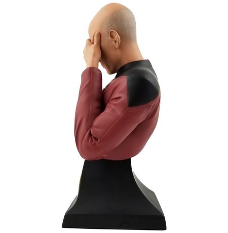 Фигурка Star Trek - Пикар Facepalm Эксклюзив (Star Trek - Picard Facepalm SDCC 2020) изображение 2
