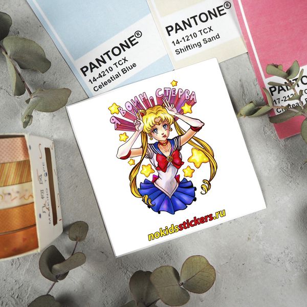 Наклейка Сейлор Мун - Я воин (Sailor Moon), стикер NKS card