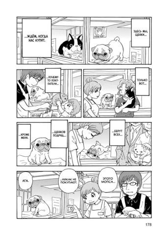 Пёс, смотрящий на звёзды изображение 2