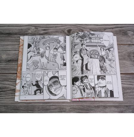 Путь домохозяина. Том 4 изображение 4