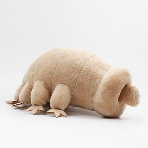 Мягкая игрушка Тихоходка (Tardigrade) 23 см изображение 5