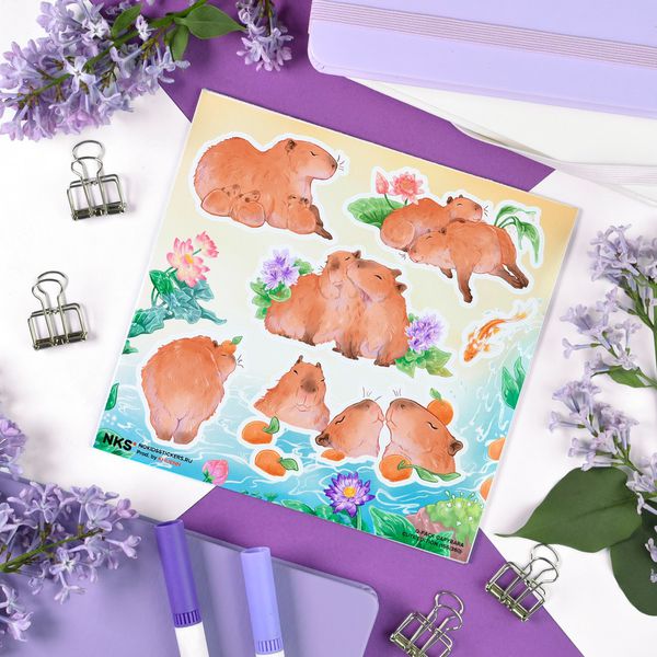 Наклейки Капибары, стикеры NKS Q-Pack
