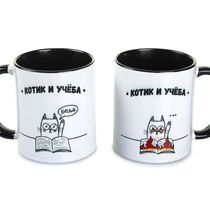 Кружка Котик и учеба