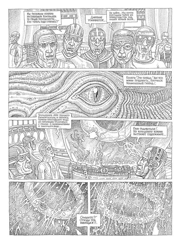 Заплаточники изображение 5