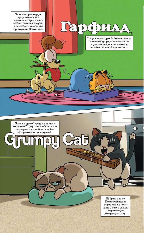 Гарфилд и Grumpy cat. Сердитый кроссовер изображение 2