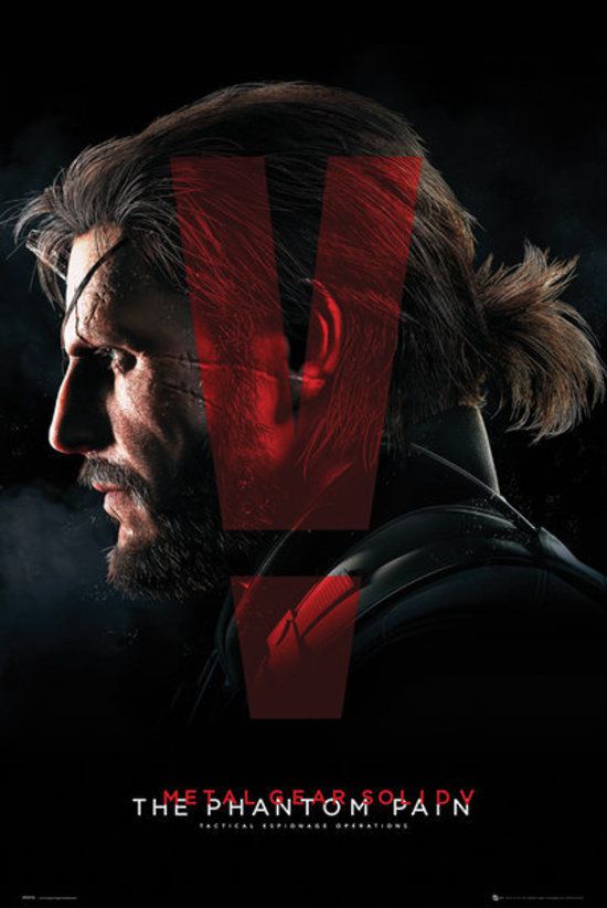 Постер Metal Gear Solid V