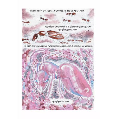 Гигантские Муравьи Новосибирска изображение 3