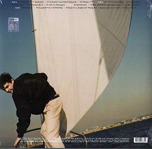 Виниловая пластинка