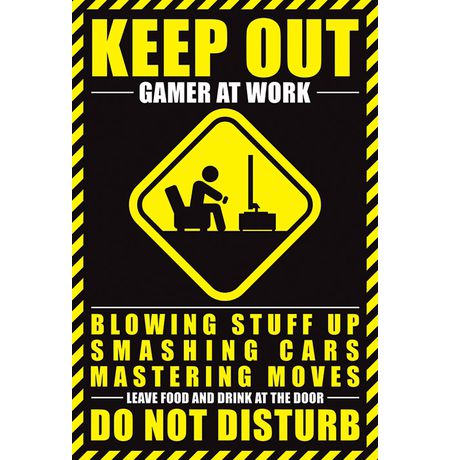 Постер Gamer at work