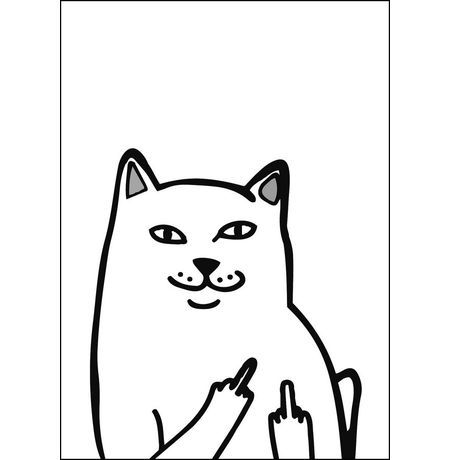 Открытка Кот с факами (Cat Nermal) изображение 2