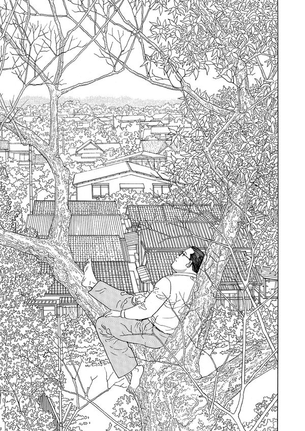 Прогулки изображение 3