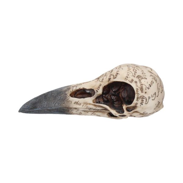 Статуэтка Череп ворона (Edgar's Raven Skull) изображение 2